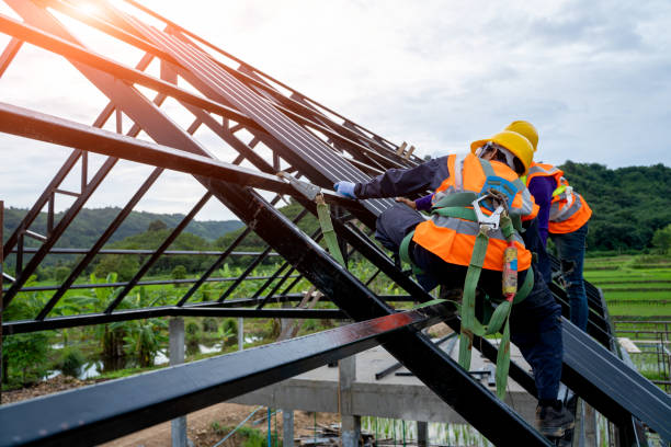 Best Emergency Roof Repair  in Flat Rock, NC