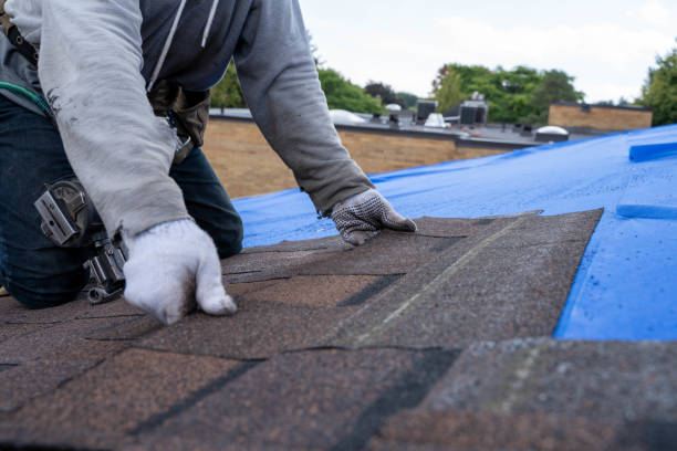 Best Metal Roofing Contractor  in Flat Rock, NC