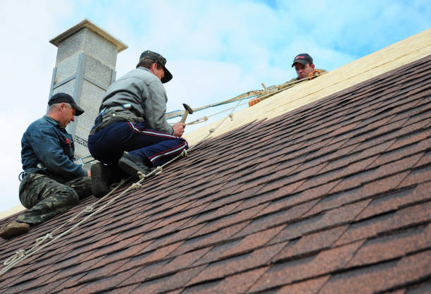 Best Roof Maintenance Services  in Flat Rock, NC